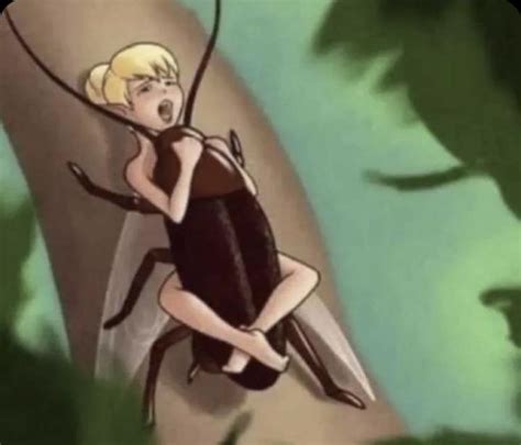 rule 34 insect